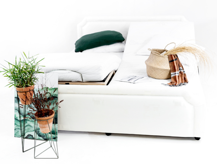 Royale Reliqua Collection