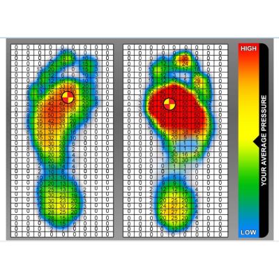 Tactilus Foot In Sole Sensor System