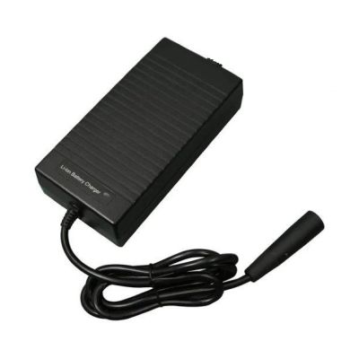 Atto Scooter Replacement Charger Worldwide 110 - 240 Vac